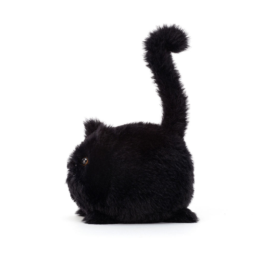 Kitten Caboodle