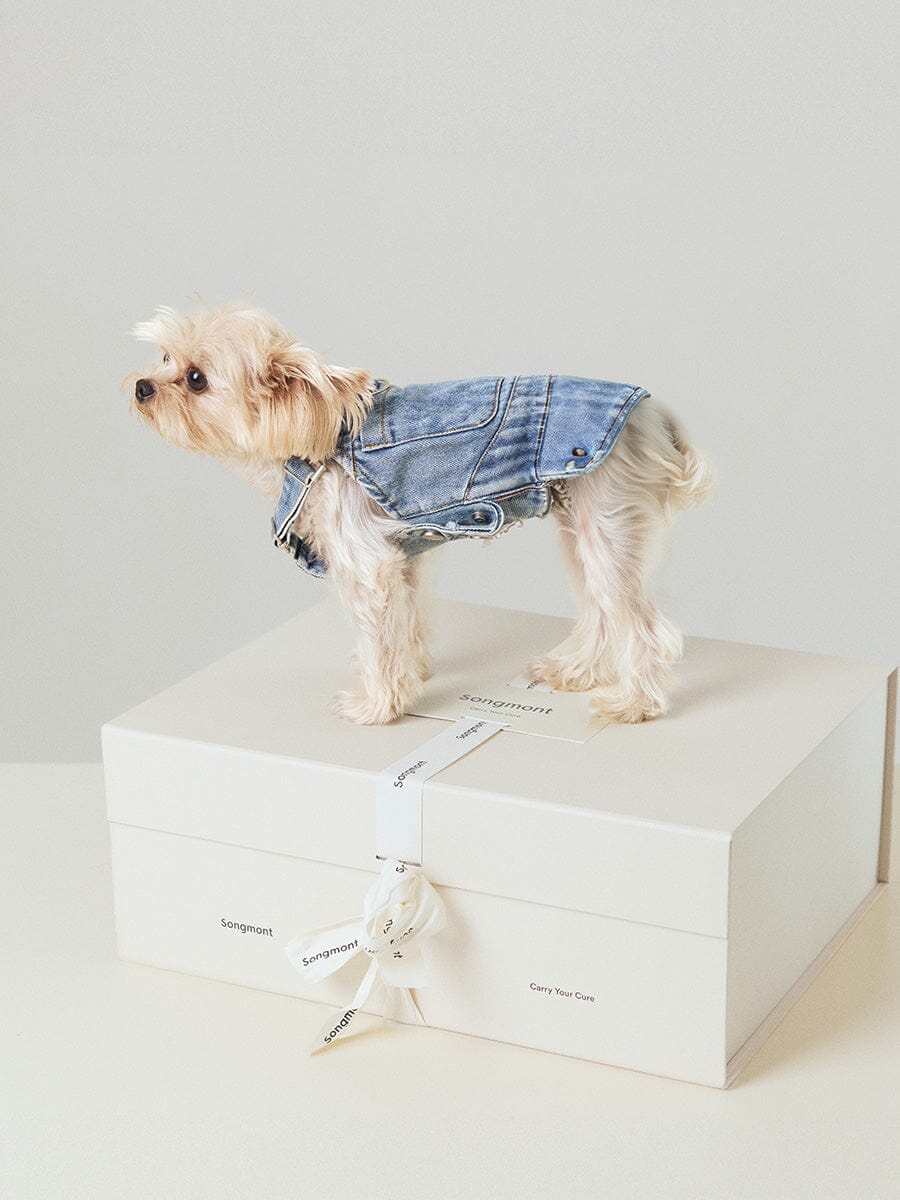 Small Luna & Pet Leash Box